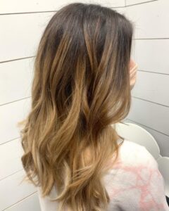 Haircut & Style brunette balayage columbus